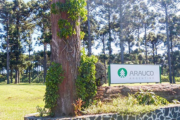 Arauco acusa alza de impuestos en provincia de Argentina y acude a Cancillería para realizar gestiones