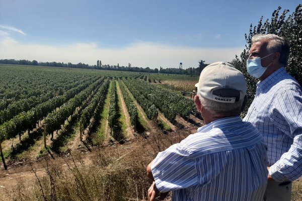 Los propuestas deben abordar al menos una de las tres líneas de acción de la convocatoria: gestión de recursos hídricos, diversificación productiva o manejo productivo sustentable.