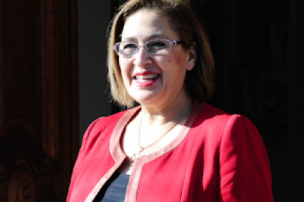 Adriana Muñoz (PPD): “Al final, el gobierno instaló su impronta del cuentagotas en las iniciativas para responder a la crisis económica y sanitaria”