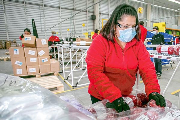 La nueva modernización tecnológica que autorizó la Dirección del Trabajo