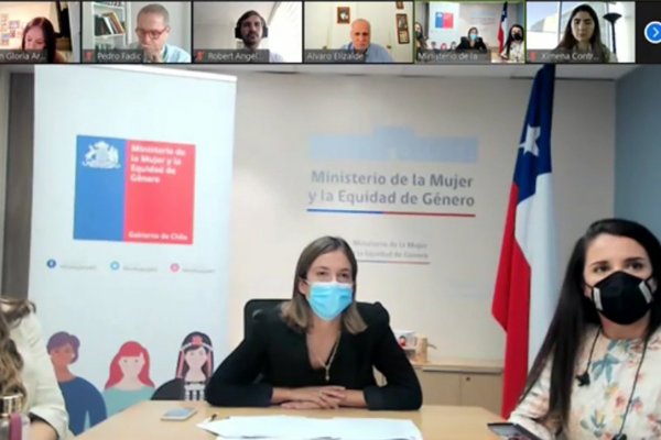 Gobierno se comprometió a presentar la próxima semana la indicación para el proyecto de ley de cuotas de género en directorio de empresas estatales