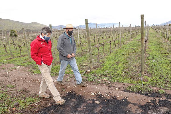 Carlos Recondo, director nacional de Indap, en terreno.