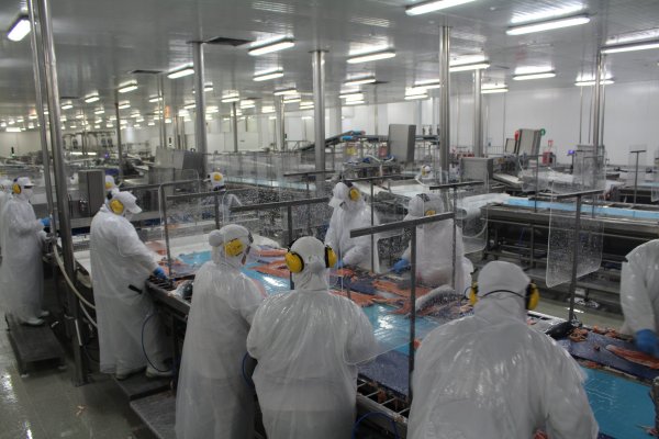 Blumar firma contrato con Enel Generación para abastecer sus procesos productivos solo con energías limpias
