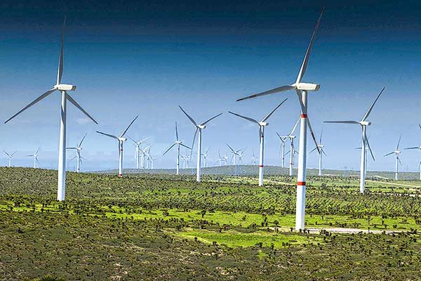 AGF chilenas adoptan norma de la UE para evitar malas prácticas de marketing “verde”