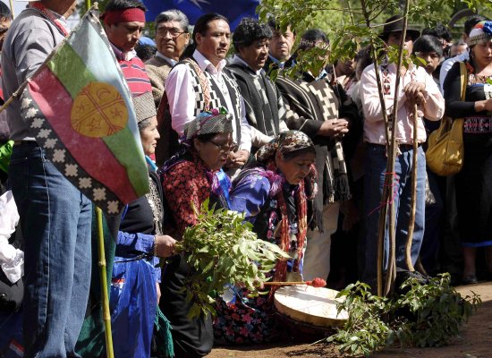 Las hectáreas que las forestales están dispuestas a vender a la Conadi