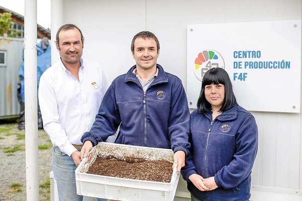 La apuesta por proteína de insectos que une a Ibáñez, Luksic y Angelini