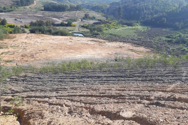 Región del Maule, Ciren.