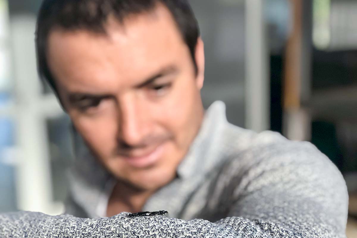 <p>F4F, la startup que aprovecha la mosca soldado negro para generar proteína</p>