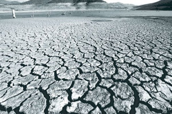 El gasto ejecutado en iniciativas de cambio climático representó el 0,16 del PIB en 2019. Foto: Agencia Uno