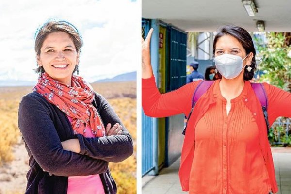 Parte V: Las principales definiciones de los constituyentes independientes electos