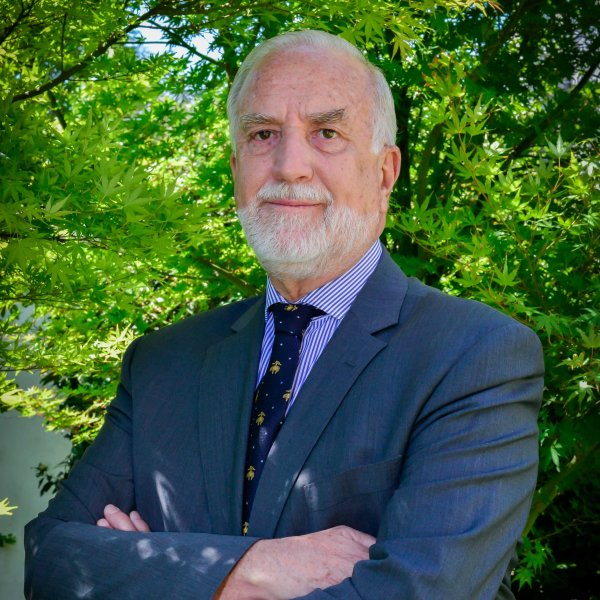 Pensiones y Constitución