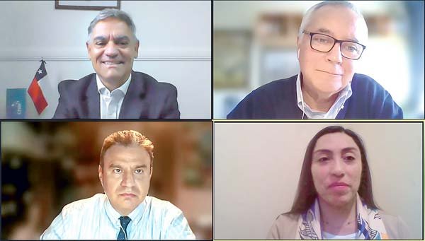 En el webinar participaron el director comercial de ProChile en Perú, Helmut Eichhorn; el gerente Servicios Empresariales de la CCS, Raúl Muñoz; el abogado Donald Chirinos; y la subgerenta de Asuntos Internacionales de la CCS, Elizabeth Lagos.