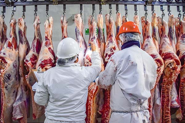 Argentina inhabilita la operación de doce empresas exportadoras de carne