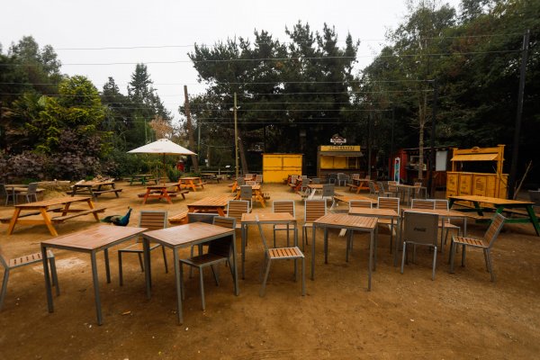 Apadrinamiento de animales y nuevos negocios, el plan de Buin Zoo para salir de la crisis