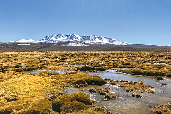 La iniciativa busca monitorear en terreno y de manera preventiva los humedales.