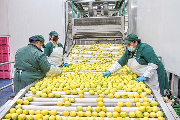 Salario mínimo: comisión mixta aprueba alza a $350 mil según crecimiento económico y correría desde enero próximo