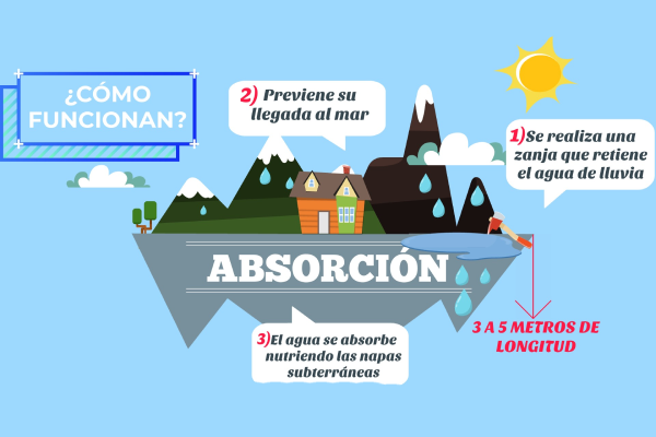 DATA DF | Infiltración de acuíferos, solución basada en naturaleza para enfrentar la escasez hídrica