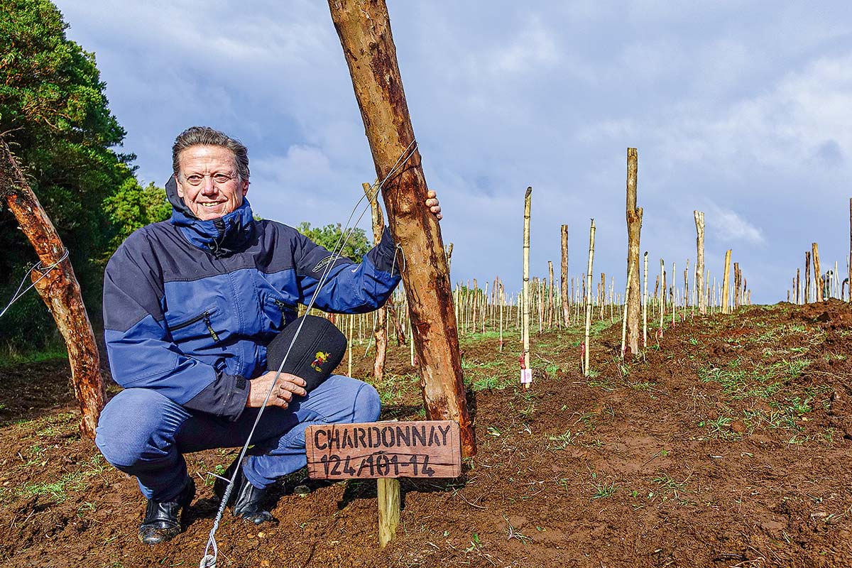 <p>Montes y su cosecha en Chiloé: “No existe otro proyecto tan extremo en Chile”</p>