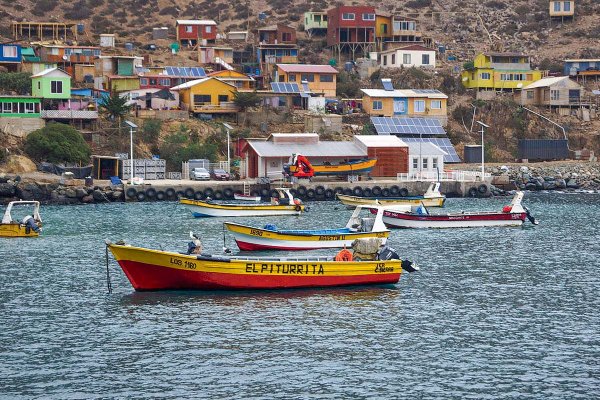 Las historias de la caleta que se conectará al internet satelital de Elon Musk