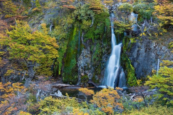 WWF lanzó hoy reporte mundial "Los próximos guardianes de la naturaleza: por qué los bancos centrales deben tomar medidas sobre el riesgo de la biodiversidad"