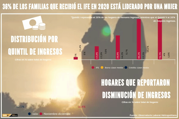 El 28% de los hogares de la RM constató haber recibido el IFE durante el segundo semestre del 2020