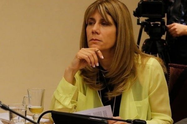 Rincón (DC) pide audiencia a Piñera por caída del “fondo E” y anima a la oposición a impulsar una comisión investigadora