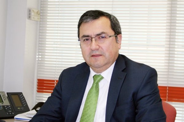 Capital Advisors trae de regreso a histórico ejecutivo para la gerencia general de Guacolda