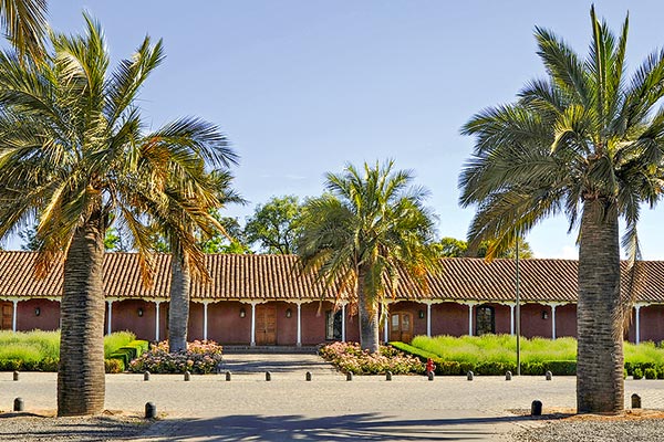 Ventas de Viña Santa Rita suben 8,1% el primer semestre