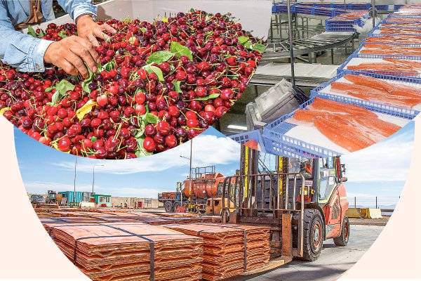 Chile no es solo cobre, cerezas o salmón: los otros productos en los que el país lidera como proveedor mundial