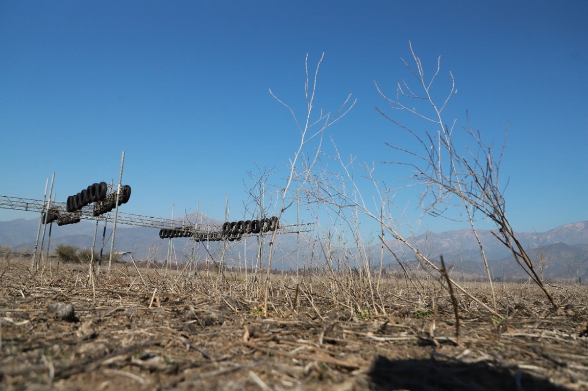 <p>Chile, punto caliente del cambio climático</p>