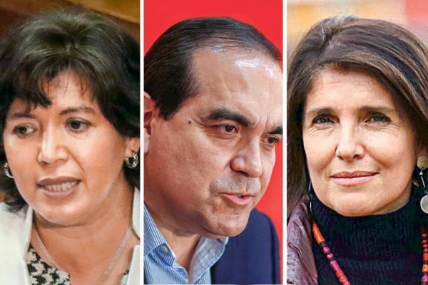 Las dudas de Unidad Constituyente acerca de la consulta ciudadana en que se medirán sus precandidatos