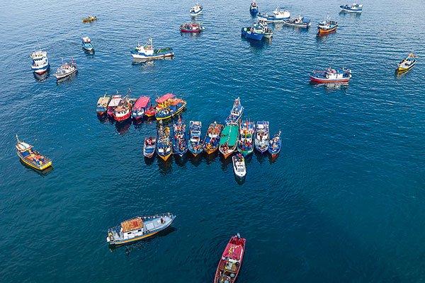 Aplicar la teoría de juegos a la pesca artesanal favorece una mejor gestión colectiva de los recursos