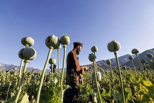 Así son las finanzas de los talibanes