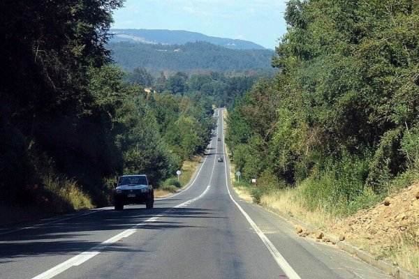Ruta del Villarrica en punto clave: MOP busca definir forma de licitación y calendario del proyecto