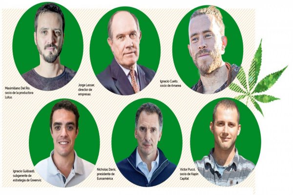 Los empresarios que pusieron fichas al negocio del cannabis en Chile (y los que miran con interés)