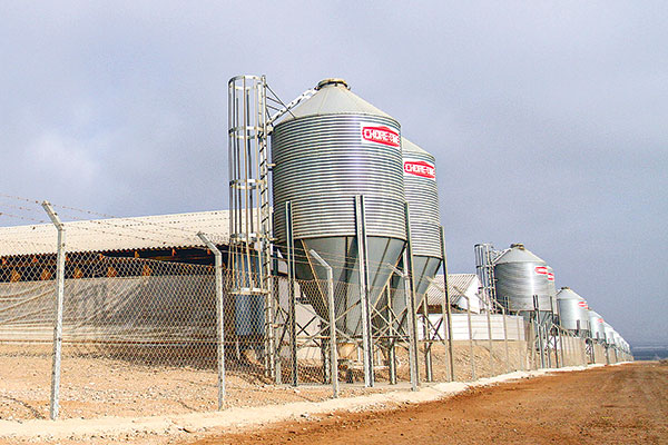 Agrosuper desguazó casi por completo su planta de Freirina