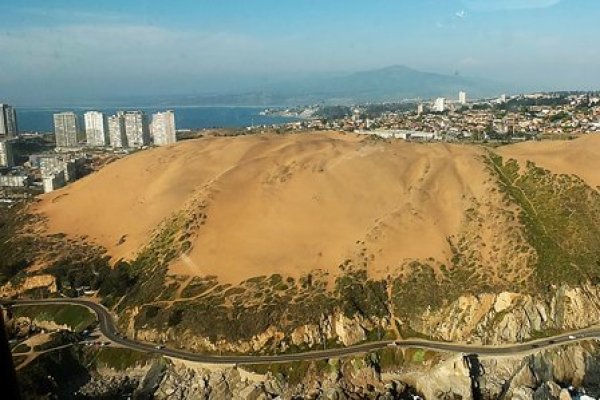 Justicia ambiental acoge recurso que paraliza proceso de revegetación presentado por firma ligada a Pérez Yoma en dunas de Concón