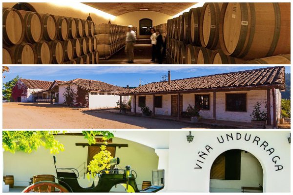 Wine&Spirits destaca a tres viñas chilenas entre las 100 mejores del mundo en 2021
