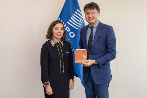 Directora de Inapi asume como la primera latinoamericana en presidir Tratado de Cooperación en Patentes