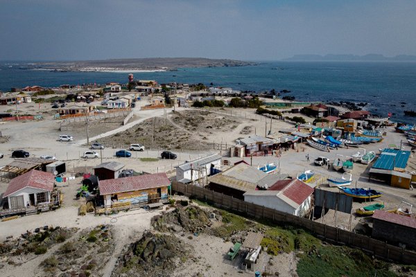 Los otros empresarios que apostaron por el negocio de Dominga