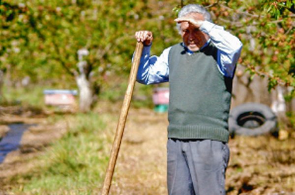 Las opciones que tiene Chile para lograr un sector agrícola más resiliente al cambio climático