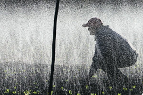 Las teclas que debe tocar Chile para lograr un futuro donde el agua sea un factor de inclusión y desarrollo