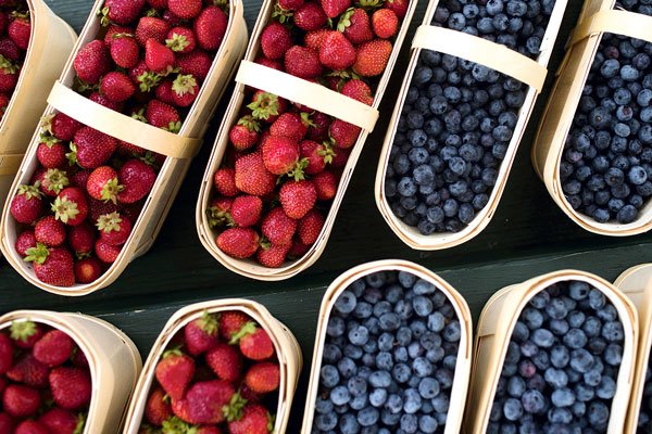 Hortifrut compra compañía española de berries y da salto en su plan de crecimiento en Europa