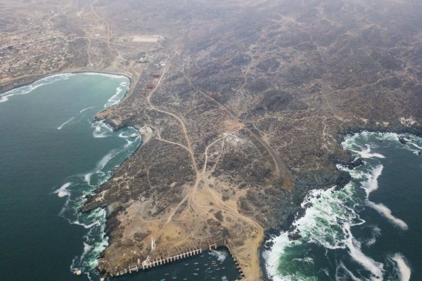 Oceana insistirá con petición de caducar permiso ambiental del puerto Cruz Grande de CAP ante el Tribunal Ambiental