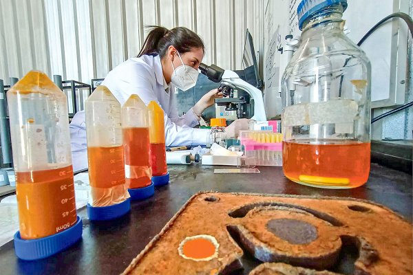 Spiromet, la biotecnología con sello chileno que deshace chatarra