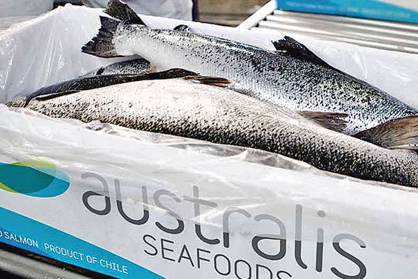 Mercado de salmón sigue recuperándose: anota nuevo récord de consumo e impulso en precios