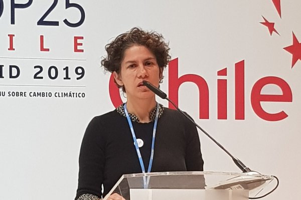 Maisa Rojas, directora del Centro de Ciencia del Clima y la Resiliencia (CR)2, lideró el trabajo de las mesas científicas de Chile de cara a la Cumbre del Clima, COP25.