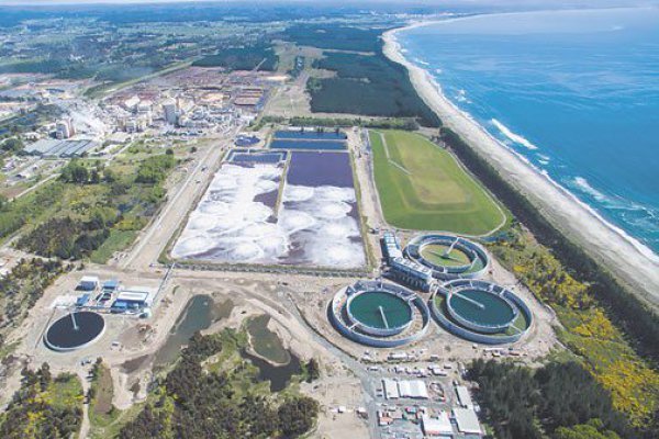 Los cálculos de Arauco de cara al inicio de operación de MAPA: ventas de 900 mil toneladas y un desembolso adicional por hasta US$ 250 millones