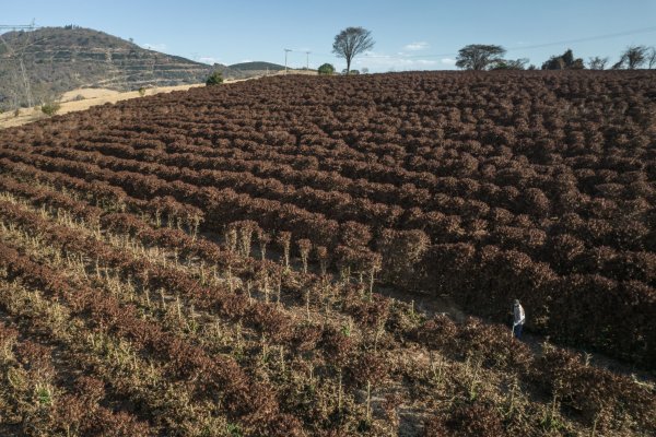 PIB de Brasil cae 0,1% en tercer trimestre y entra en recesión por segundo año consecutivo