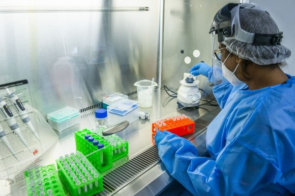 Confirman el primer caso de la variante Ómicron en Chile